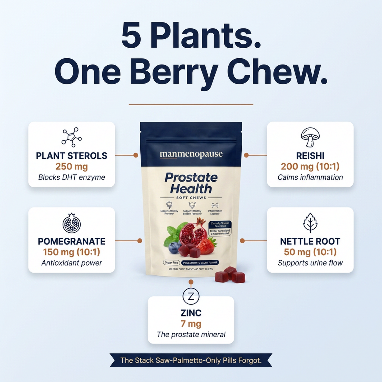 5 Plants. One Berry Chew — full ingredient stack